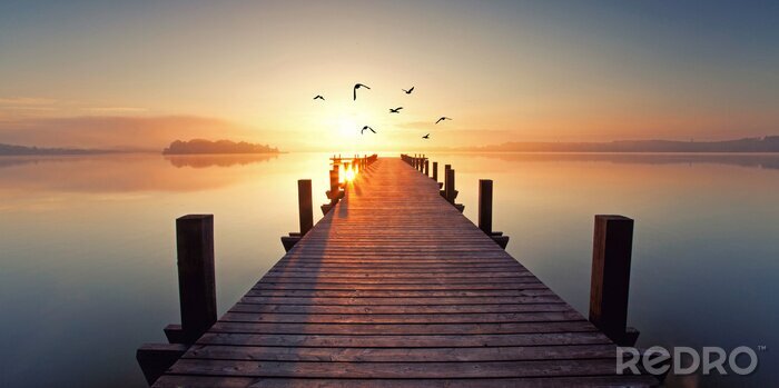 Poster Magisch zonsopndergang bij het meer