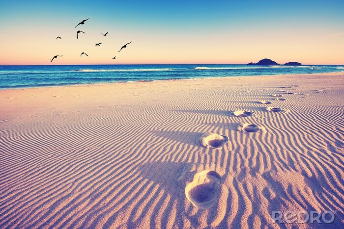 Poster Magische sporen in het zand