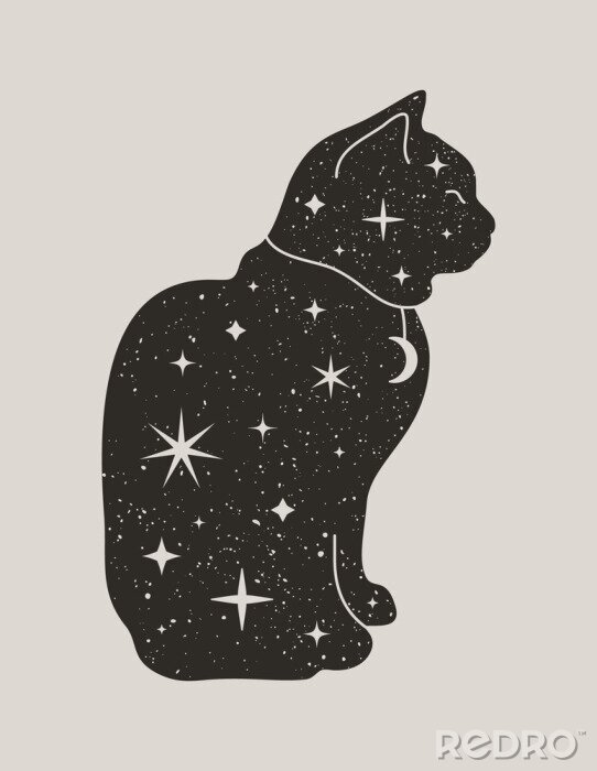 Poster Magische zwarte kat