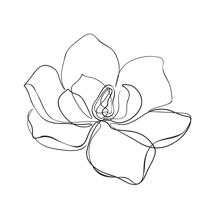 Poster Magnolia geïsoleerde handmatige schets