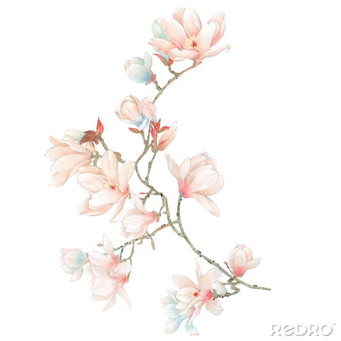 Poster Magnolia's op een takje van een bloeiende struik
