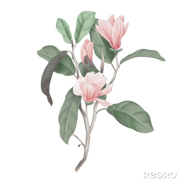 Poster Magnoliatak met pastelkleurige bloemen