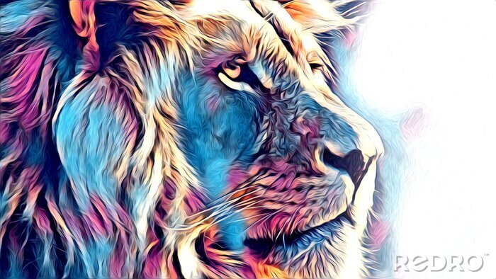 Poster Majestueuze leeuw in kleur