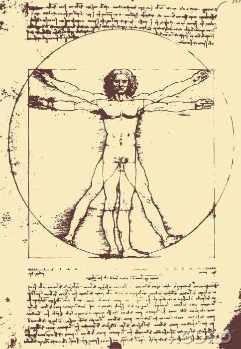 Poster Man van Vitruvius illustratie / Leonardo da Vinci [vector]