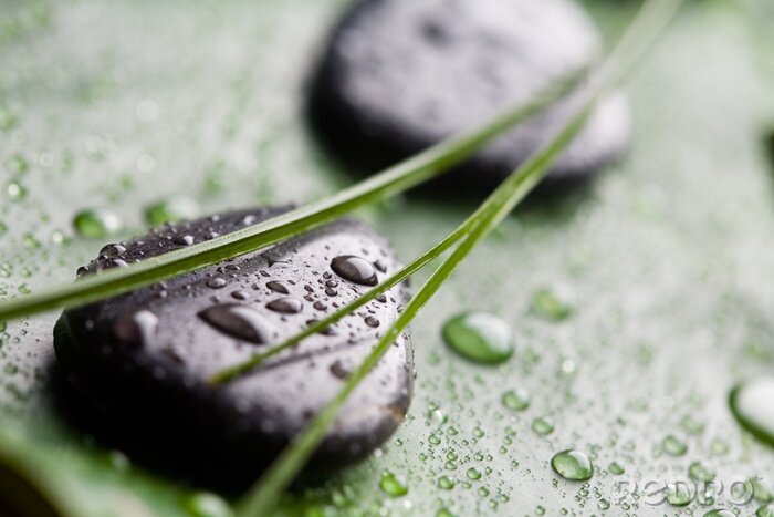 Poster Massage stenen