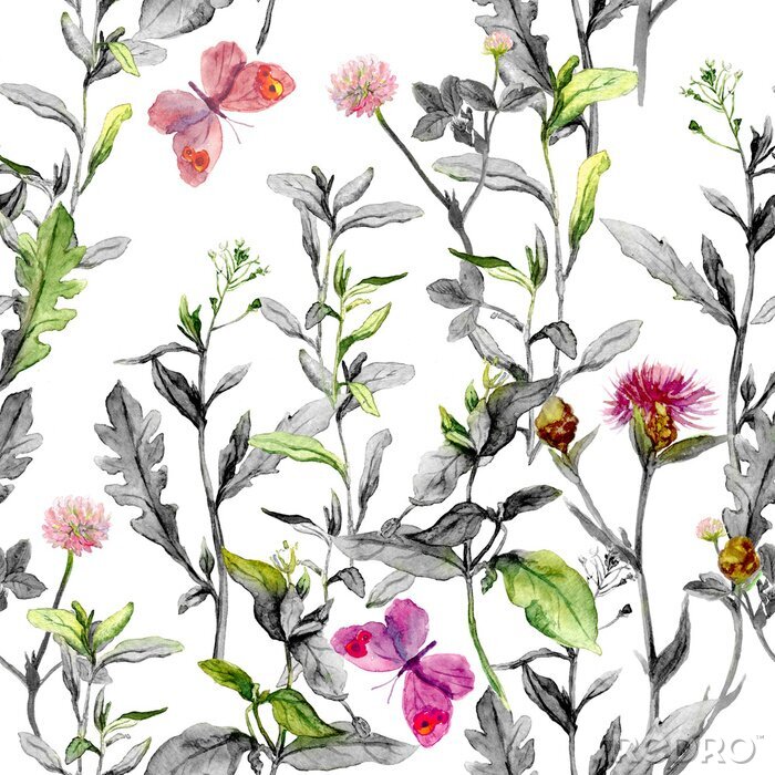 Poster Meadow bloemen. Naadloze kruiden achtergrond in zwart-witte kleuren. Waterverf