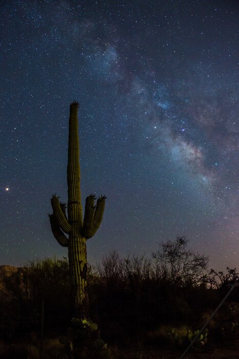 Poster Melkweg in de woestijn