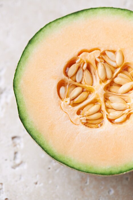 Poster Meloen dwarsdoorsnede