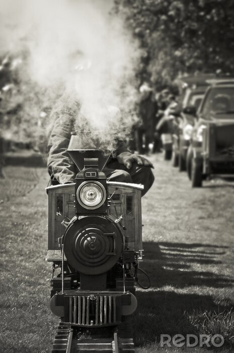 Poster Miniatuur van een stoomtrein