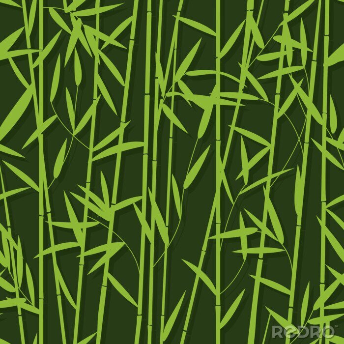 Poster Minimalistisch bamboebos