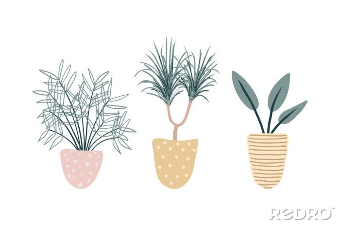 Poster Minimalistische grafiek van drie planten in potten