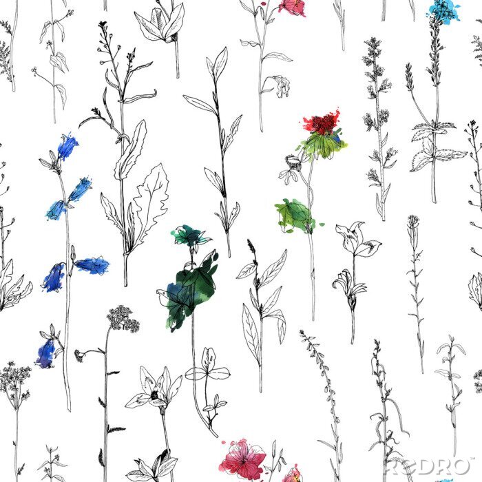 Poster Minimalistische wilde bloemen