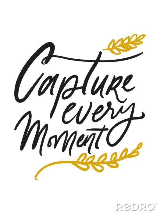 Poster Moment vastleggen. Citaat van de hand het van letters voorziende motivatie voor uw ontwerp