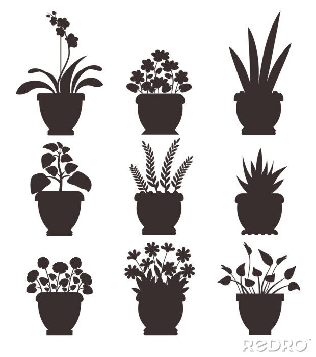 Poster Monochroom potplanten