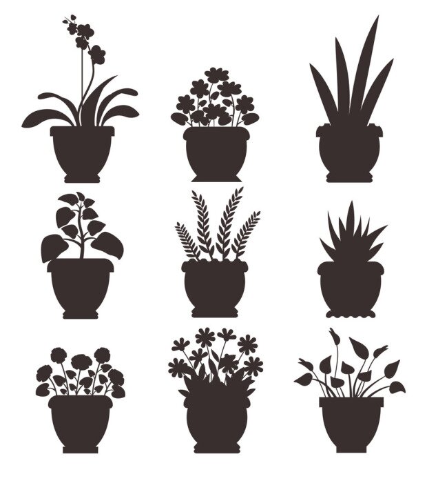 Poster Monochroom potplanten