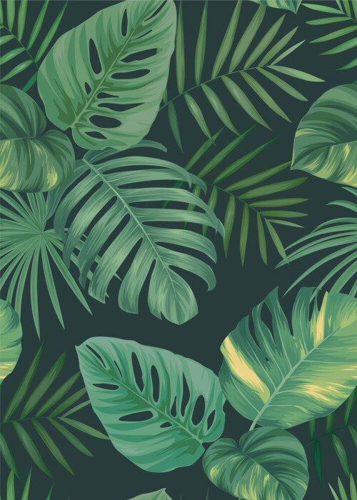 Poster Monstera bladeren met gele verkleuring