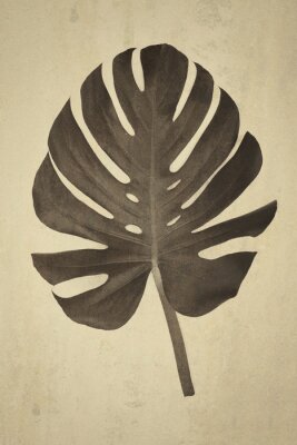 Poster Monstera in sepia