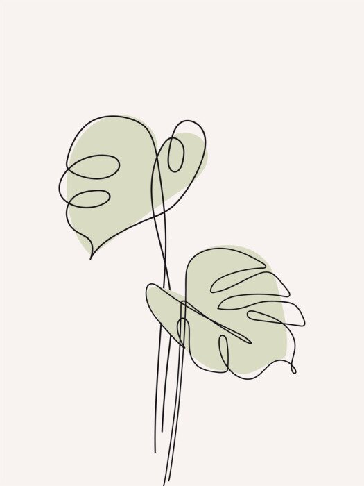 Poster Monstera verlaat schets gevuld met groen