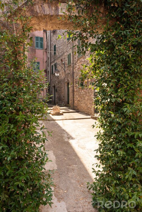 Poster Montemarcello, Ligurië, Italië