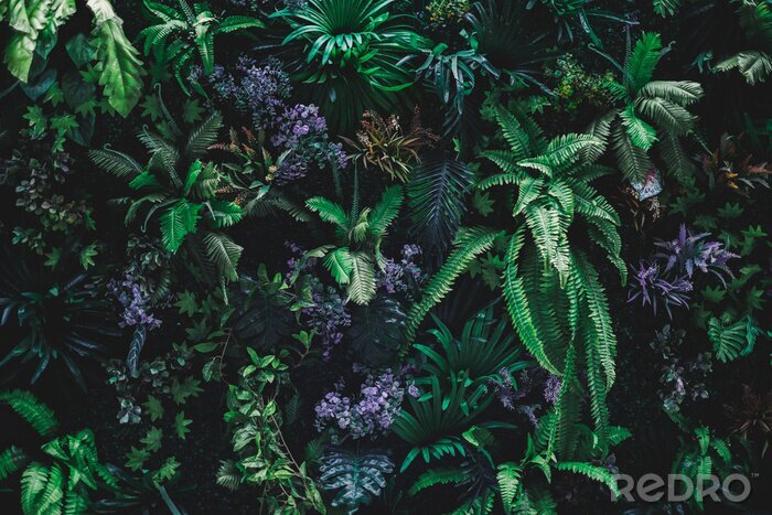 Poster Mooie aardachtergrond