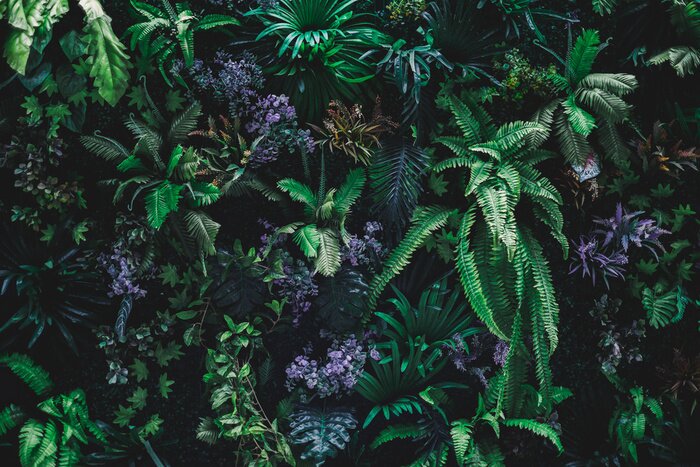 Poster Mooie aardachtergrond