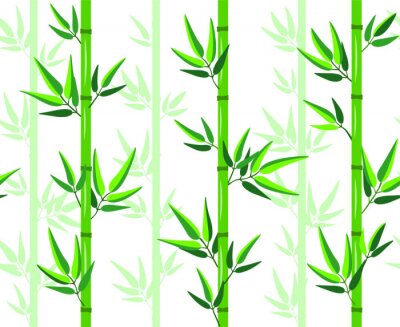 Poster Mooie bamboe met groene bladeren