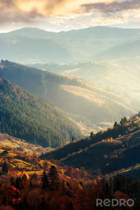 Poster mooie middag in de bergen. heerlijk herfstweer. dichtstbijzijnde bos in kleurrijk gebladerte. verre berg in waas. verticaal