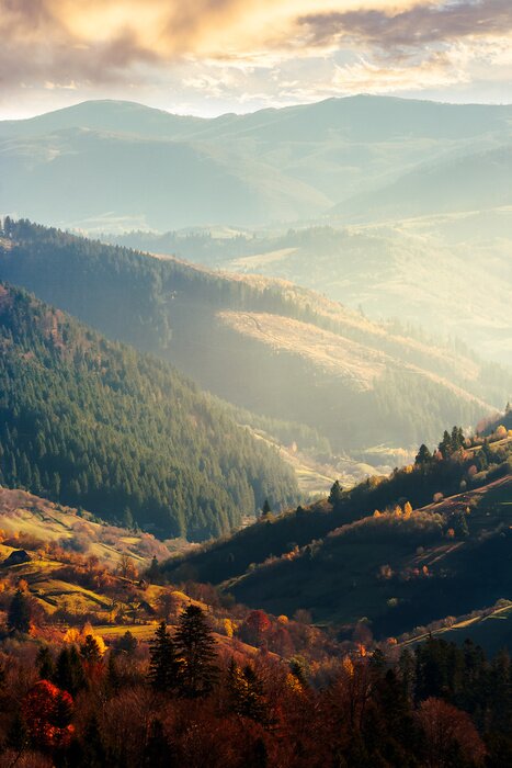 Poster Mooie middag in de bergen. heerlijk herfstweer. dichtstbijzijnde bos in kleurrijk gebladerte. verre berg in waas. verticaal