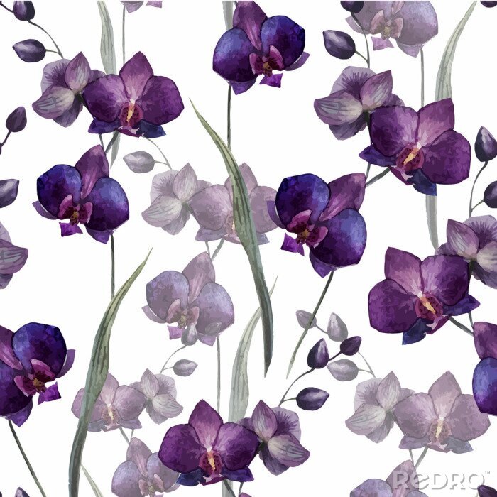 Poster Mooie orchidee flower4
