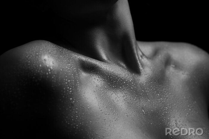 Poster Mooie vrouwen