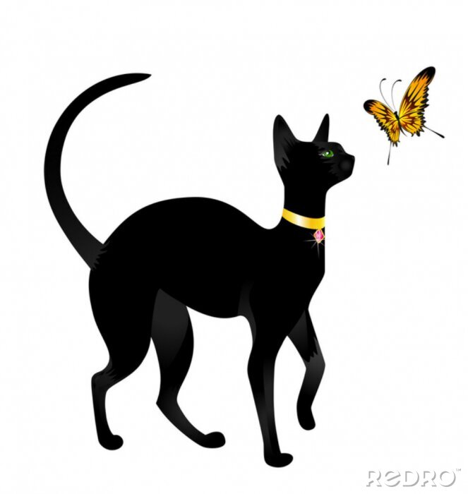 Poster Mooie zwarte kat op een witte achtergrond met de vlinder