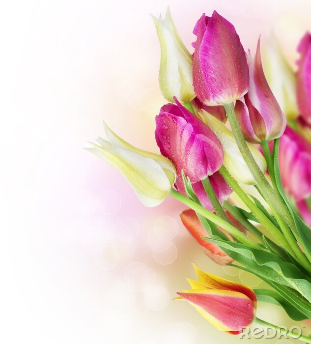 Poster Motief met lentebloemen