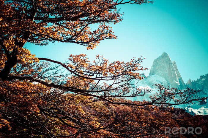 Poster Mt. Fitz Roy, Los Glaciares National Park, Patagonië, Argentinië
