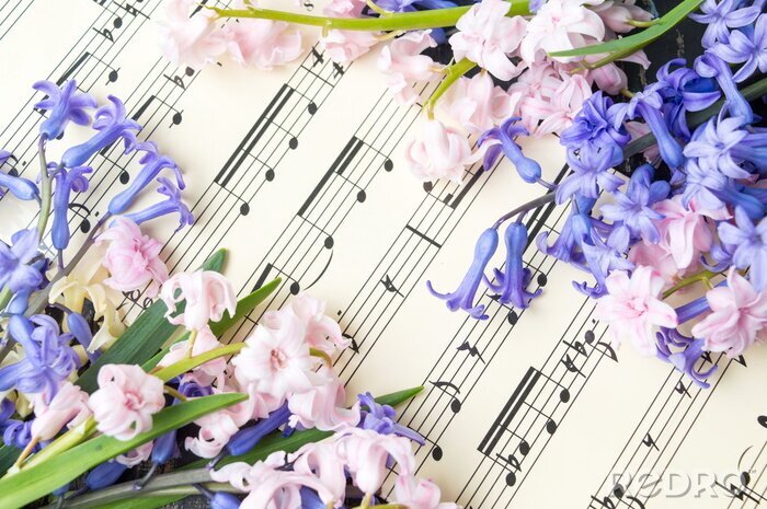 Poster Music note sheet en hyacint bloemen