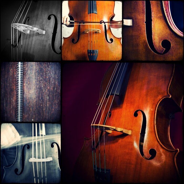 Poster Muziek en contrabas