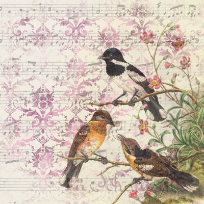 Poster Muzieknoten en vogels collage vintage retro