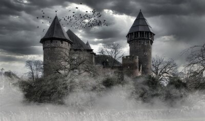 Poster Mysterieus kasteel in zwart-wit