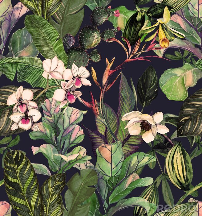 Poster Naadloos patroon met tropische bladeren en bloemen. aquarel patroon met een magnolia bloem, orchideeën, cactus, witte orchidee phalinopsis. Botanische achtergrond