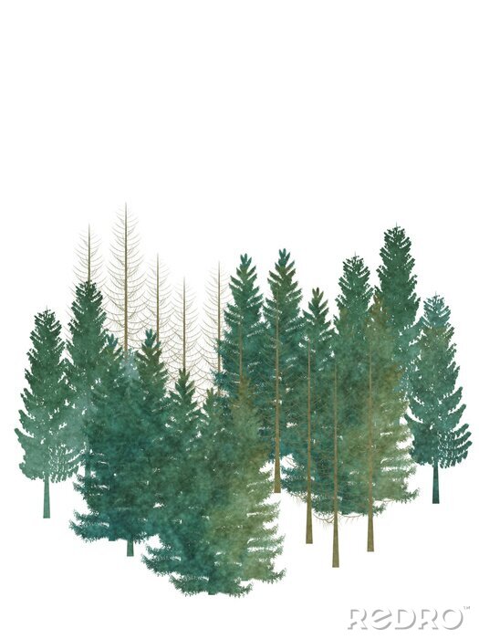 Poster Naaldbos met bomen op een witte achtergrond