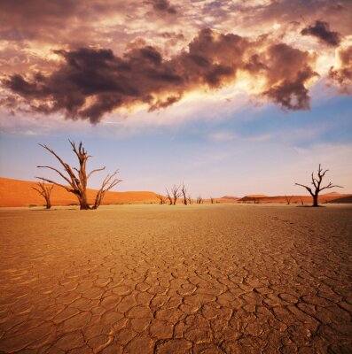 Poster Namib woestijnlandschap