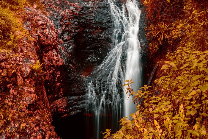 Poster Natural Bridge Waterval bij Springbrook in Queensland met rode bladeren.