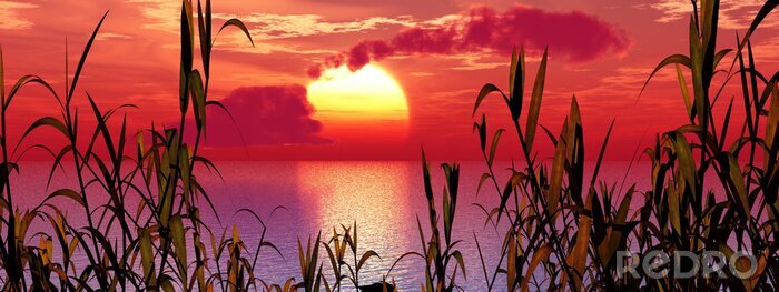 Poster Natuur bij zonsopgang