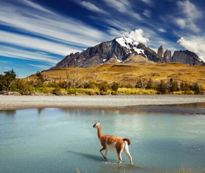 Poster Natuur en bergen in Chili
