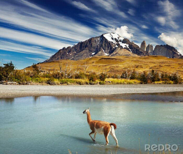 Poster Natuur en bergen in Chili