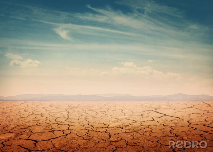 Poster Natuur en gebarsten grond in de woestijn