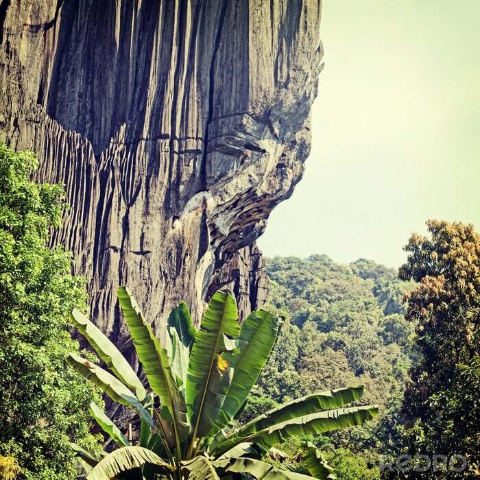 Poster Natuur en groen