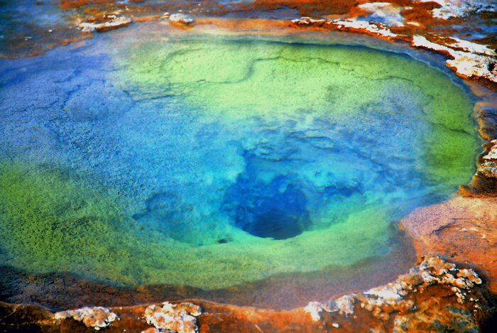 Poster Natuur en hete smaragdgroene lente