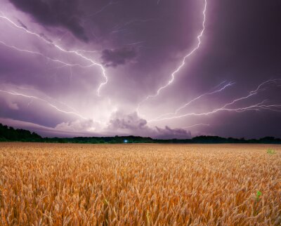 Poster Natuur en storm over het veld
