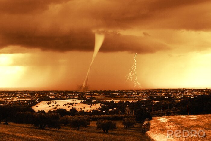 Poster Natuur in sepia