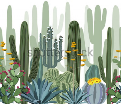 Poster Natuurbos van bloeiende cactus